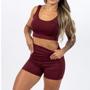 Conjunto Academia Feminino Short e Top Fitness Cintura Alta Suplex básico em diversas cores